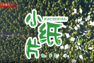 MV《小纸片》