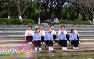 鸭定鹅（广东）